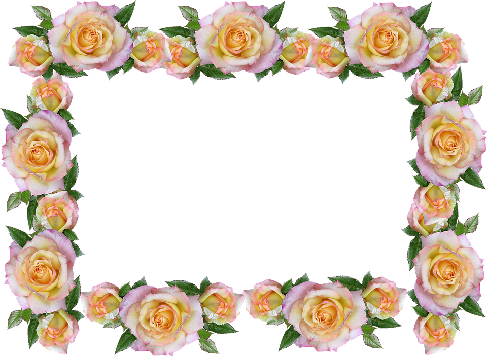 Frame, Border, Peace Rose, Decorative - Rose (960x702)