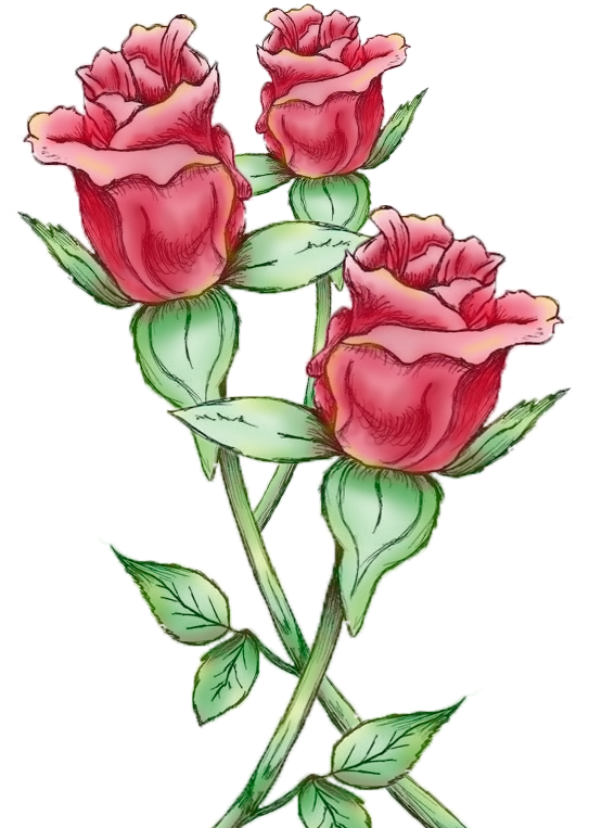 Painted Rose Bud - Rose (900x900)