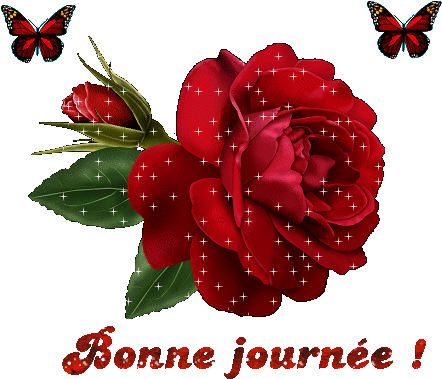 Welcome Rose (466x395)