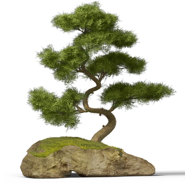 I Am Creator Front View - Tree (783x1000)