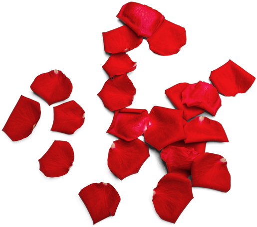 Red Rose Petals - Petal (550x475)