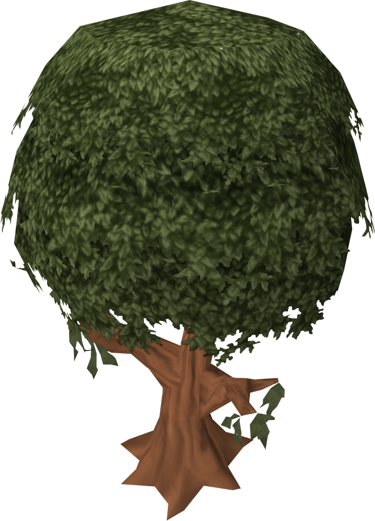 Cinnamon Tree - Shortleaf Black Spruce (755x1047)