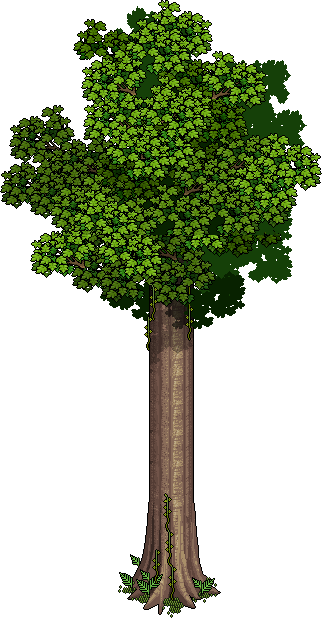 Anc Talltree - Portafolio (322x618)