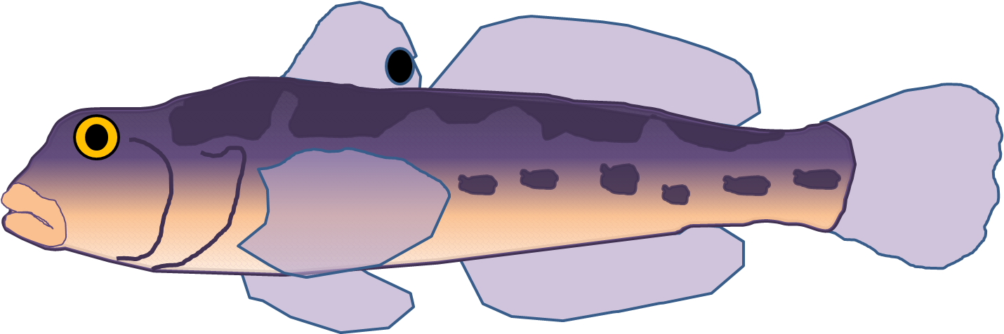 Round Goby - Round Goby (1474x725)