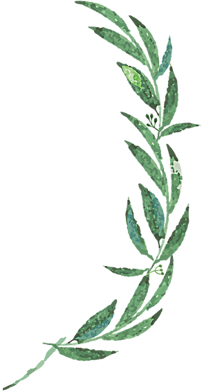Mckenzie Botanicals - Wedding (295x566)