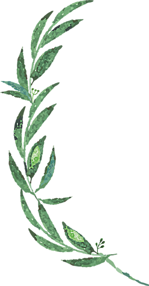 Mckenzie Botanicals - Mckenzie Botanicals (297x569)