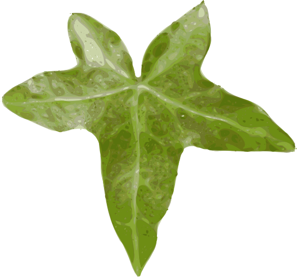 Leaf Clip Art (600x560)