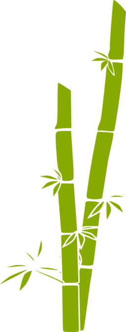 صورة خيزران - Bamboo Png (256x673)