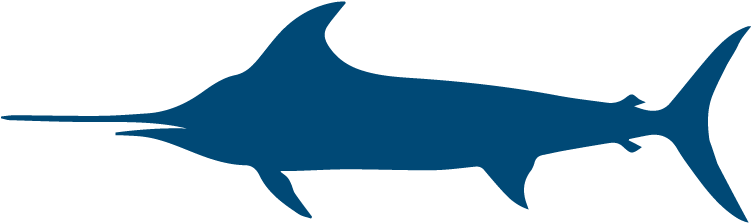 Irt600 - Decal (750x350)