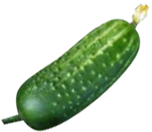 Cucumber Clipart Transparent Background - Огурец Клипарт На Прозрачном Фоне (350x350)