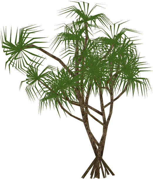 Treehala Slice - Wiki (521x608)