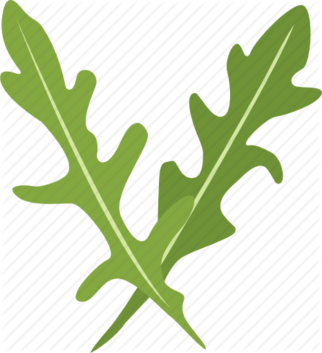 Vegetable Clipart Rocket - Arugula (466x512)