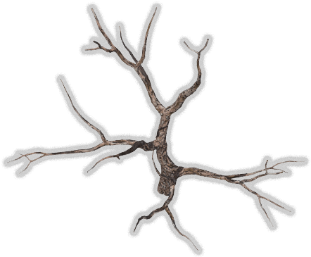 Tree-dead - Tree (454x379)