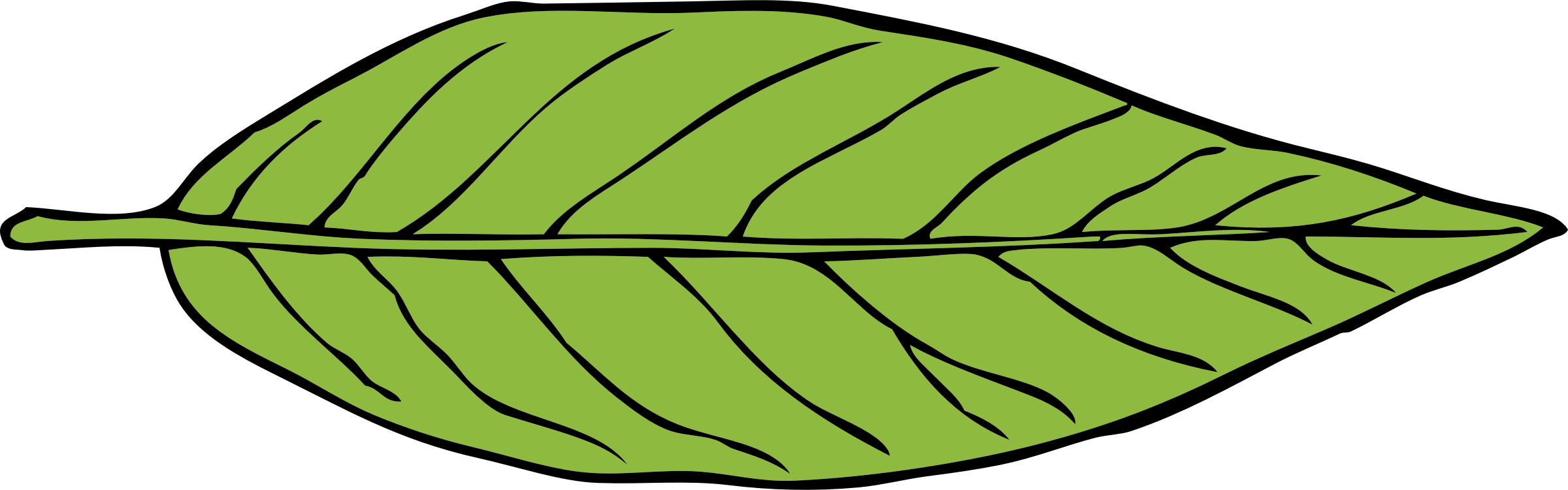 Big Image - Lanceolate Leaf (2400x750)