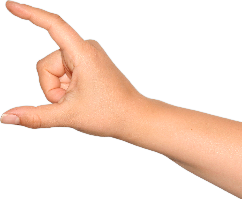 Hand Holding Png (1000x823)