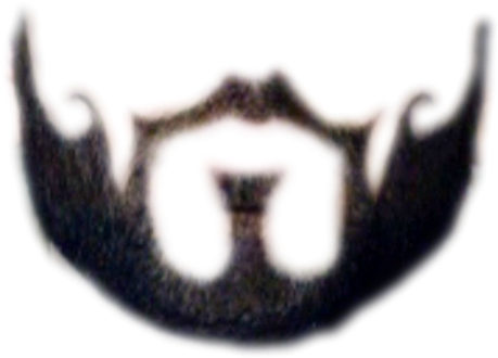 French Cut Beard Png (478x368)