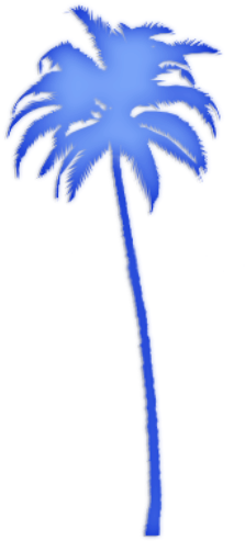 Attalea Speciosa (500x500)