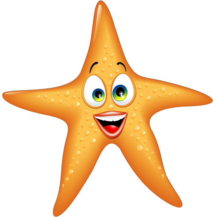 Фото, Автор Soloveika На Яндекс - Starfish Cartoon (784x800)