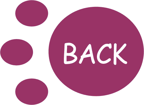 Back Icon (462x336)