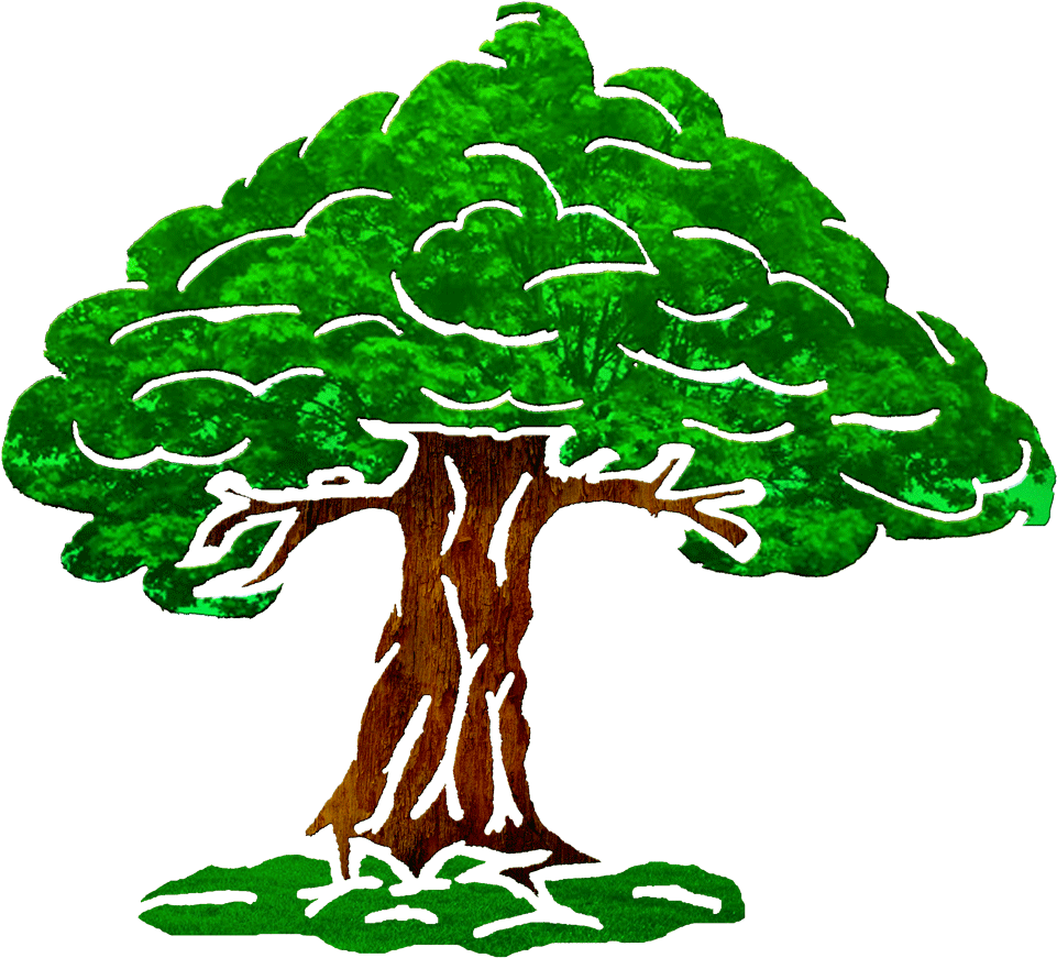 Oak (1200x1021)