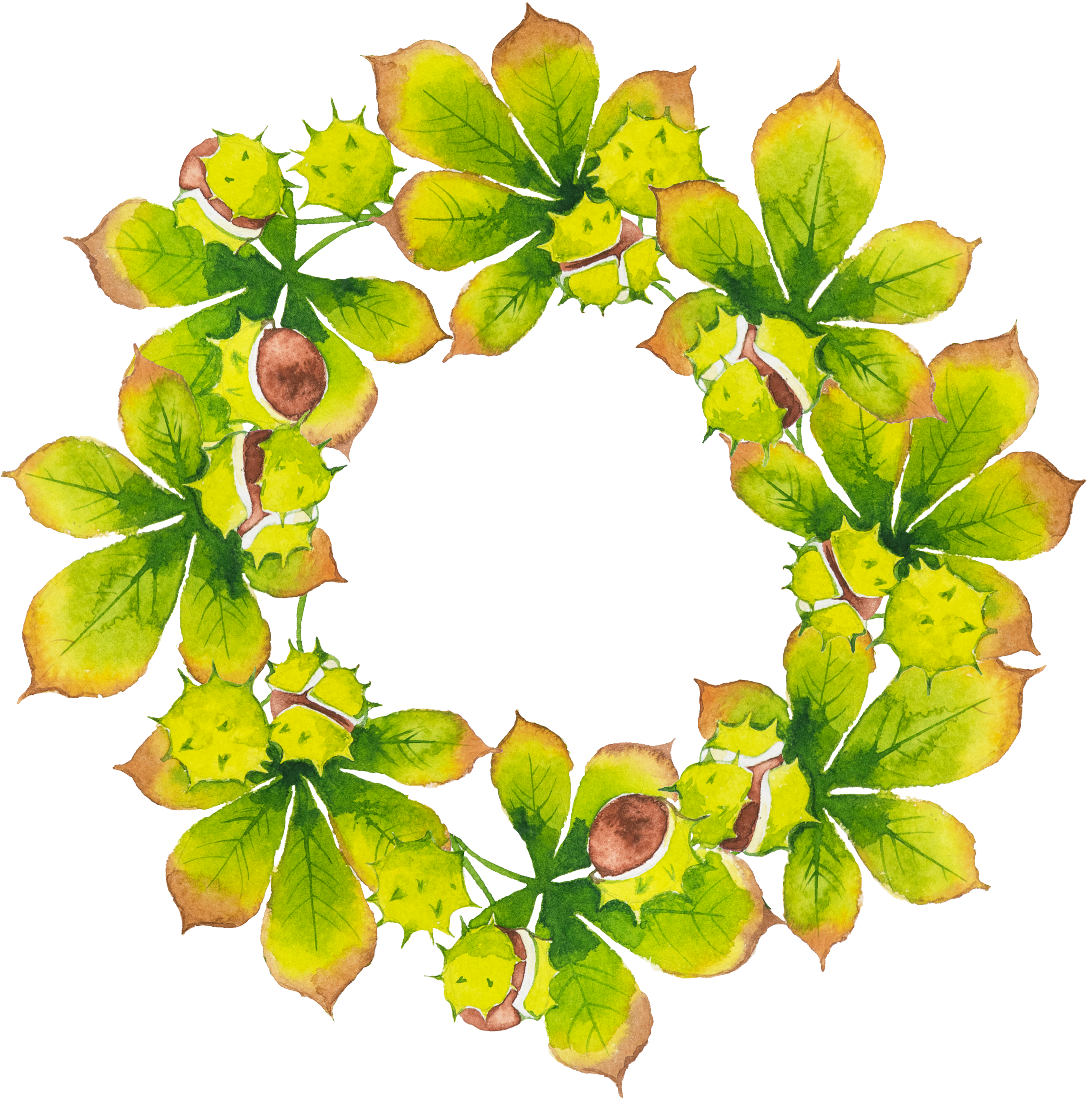 Leaf Circle - Green Circle - Leaf Circle - Green Circle (3000x3000)