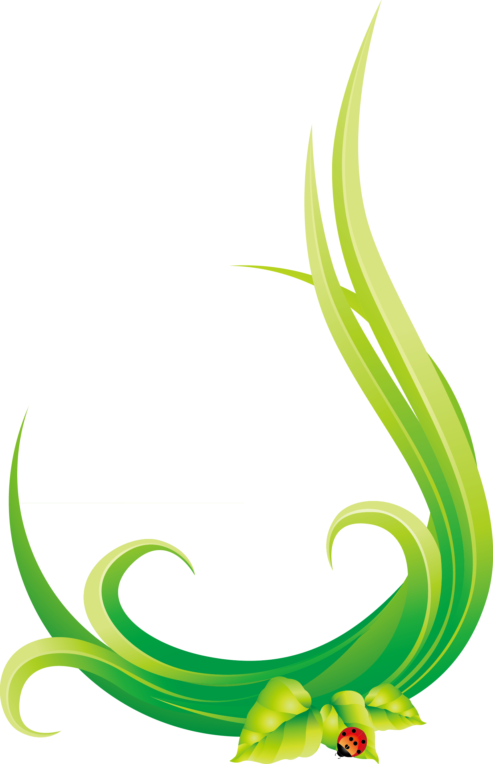 Leaf Euclidean Vector Natural Environment Circle - Illustration (1599x2475)