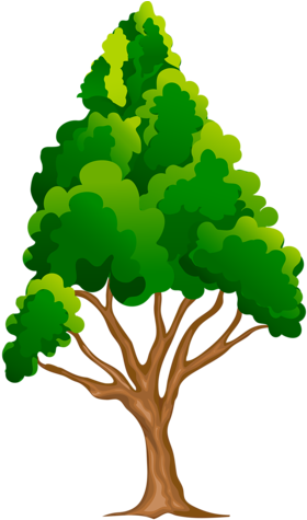 Tree - Clip Art (322x500)