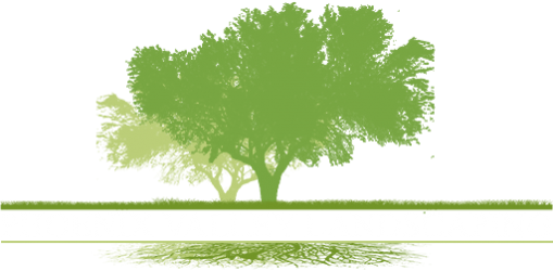 Landscape Installation Services Phoenix - Landscape Tree Logo (509x250)