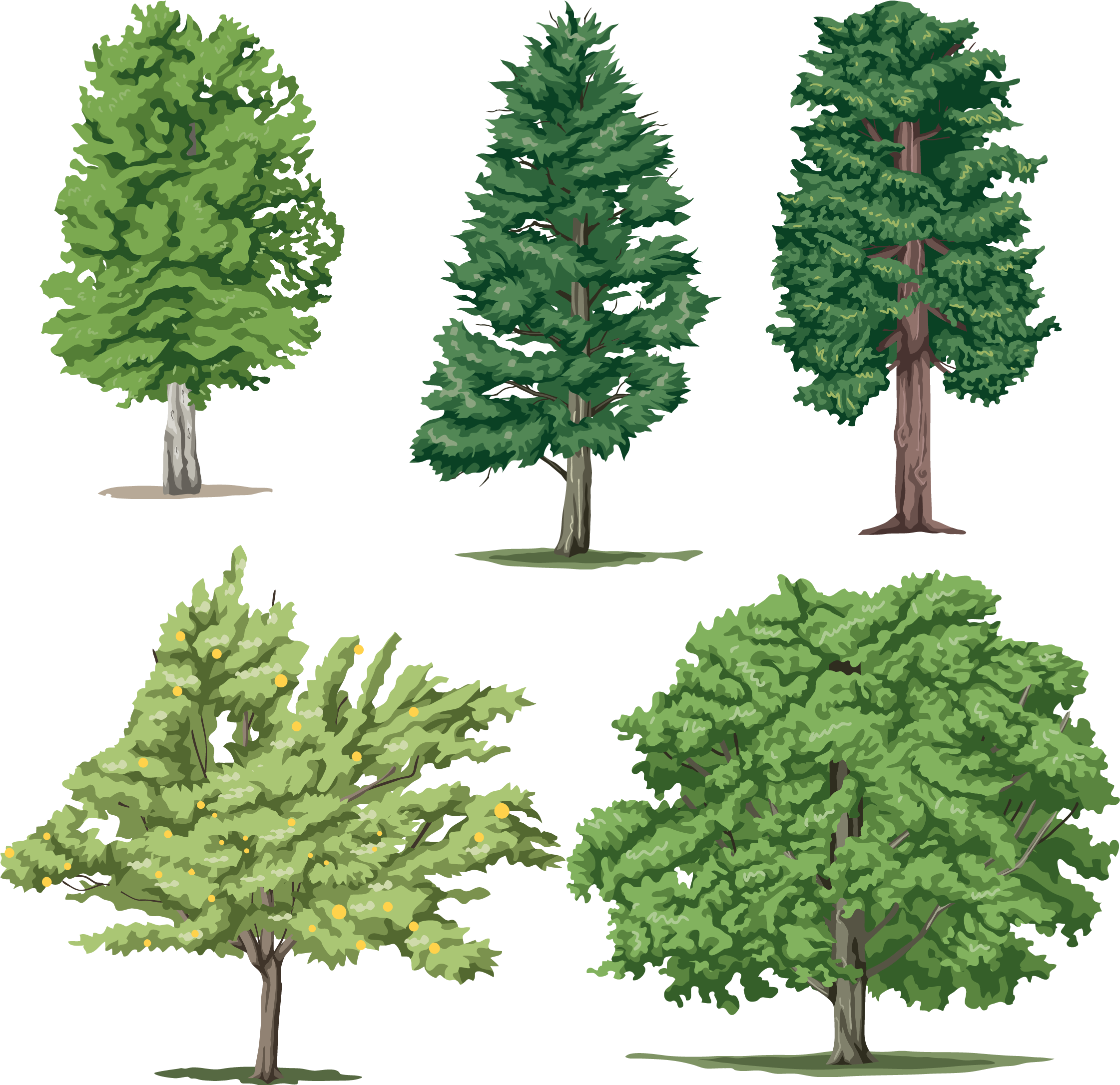 Tree (2320x2260)