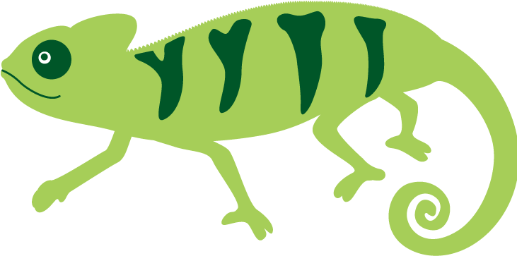 C-70 - Chameleon (730x842)