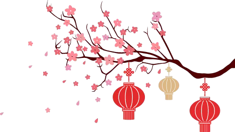 Join The Fabapc™ Collaborative - Chinese Lantern Transparent (480x269)