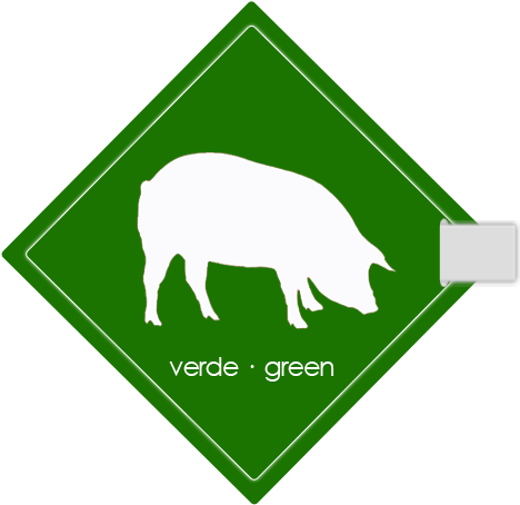 Boar (567x567)