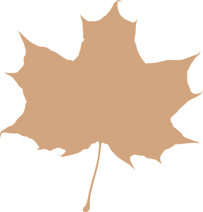 Maple Leaf Silhouette (689x720)
