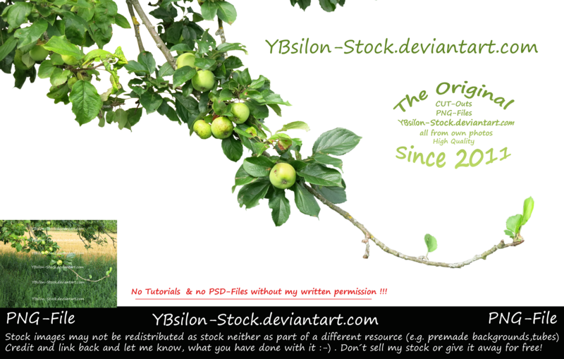 Stock (800x509)