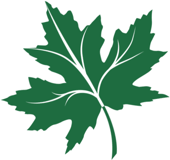 Parent Directory - Chinar Logo (360x360)