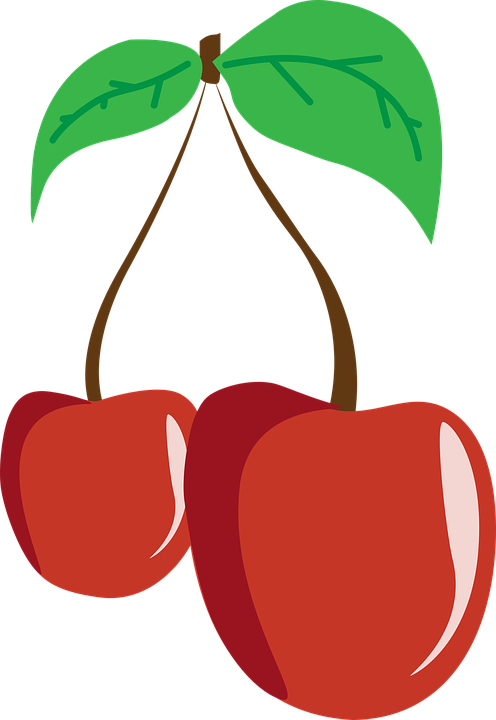 Cherry Clipart Ceri - Cherry (496x720)
