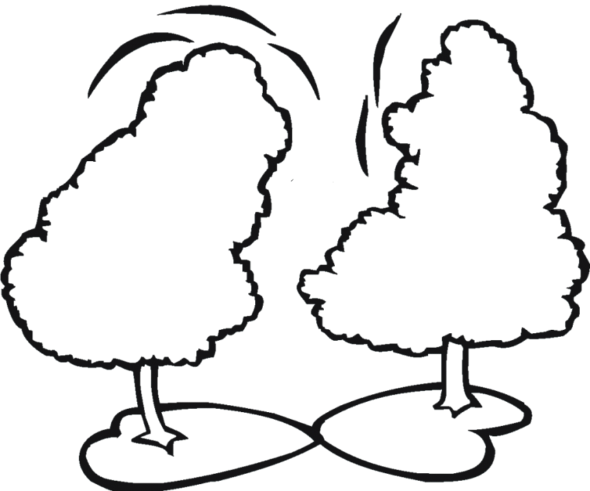 Pine Tree Clipart Two Tree - Two Trees Coloring Page (860x716)