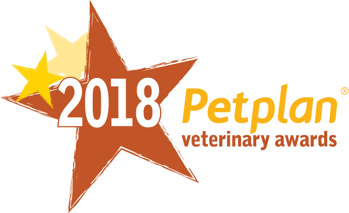Terms And Conditions - Petplan (699x420)