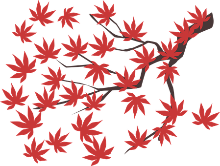 Maple Leaf, Maple, Leaf, Autumn, Red - Vector Cây Lá Phong (449x340)