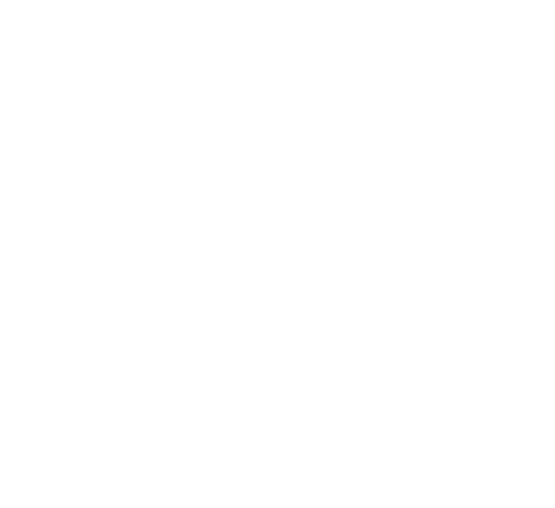 Blouse (500x458)