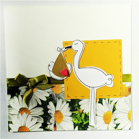 Stork (800x800)