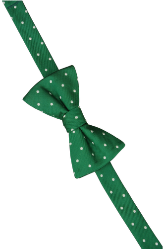Polka Dot (500x500)