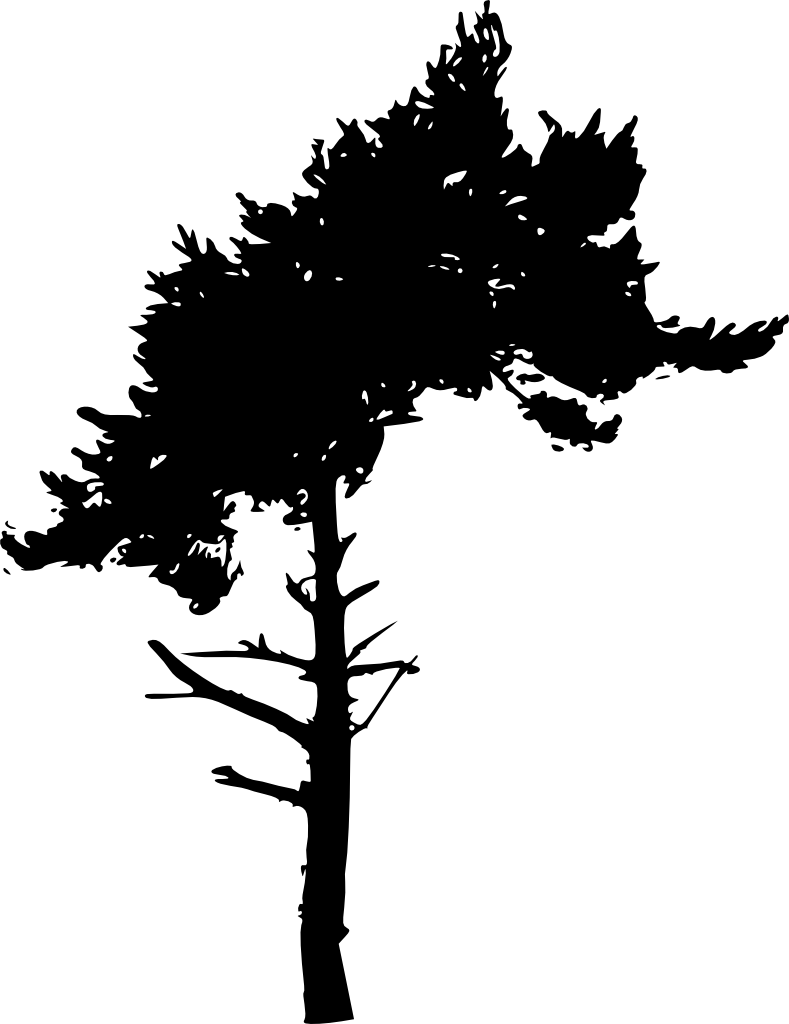 Tree Silhouette - Portable Network Graphics (789x1024)
