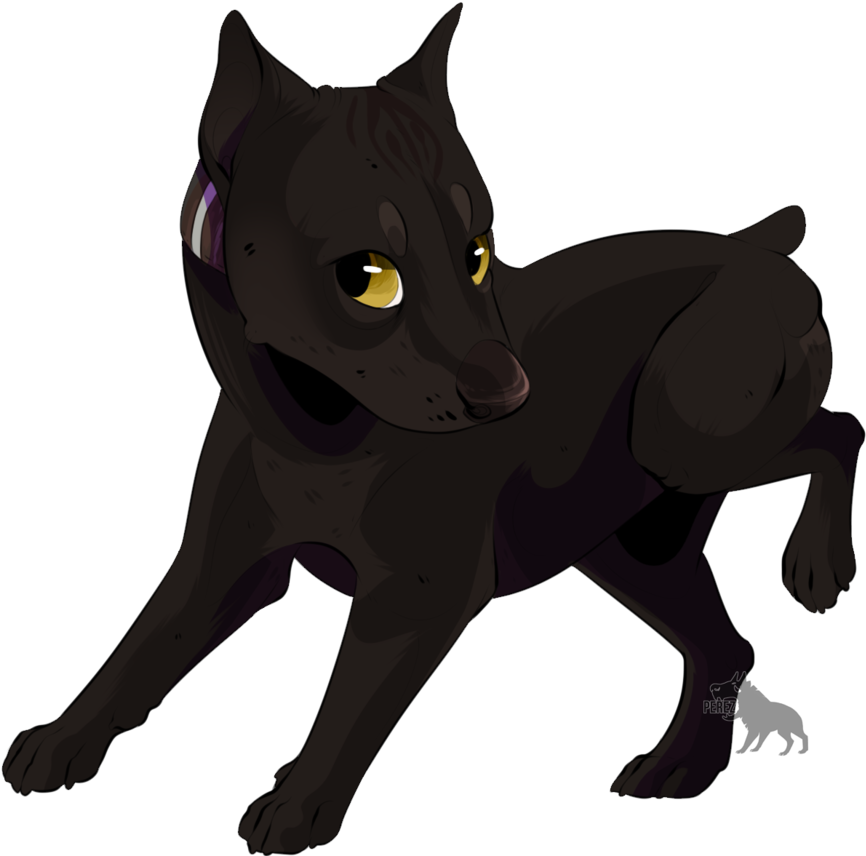 My Tokotas - Deviantart (915x873)