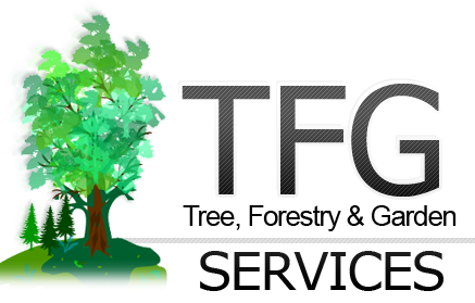 Tree Surgeon Castlebar - World Wide Web (437x279)