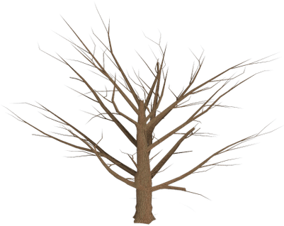 Dead Tree Transparent (401x319)