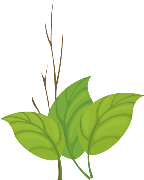 Reply296879 - ลาย ใบไม้ Png (482x600)
