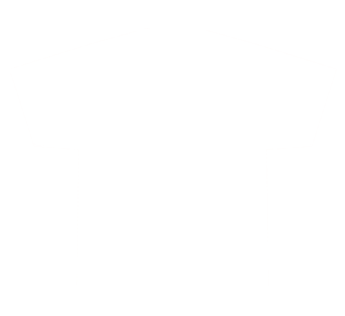 Polo Shirt (500x458)