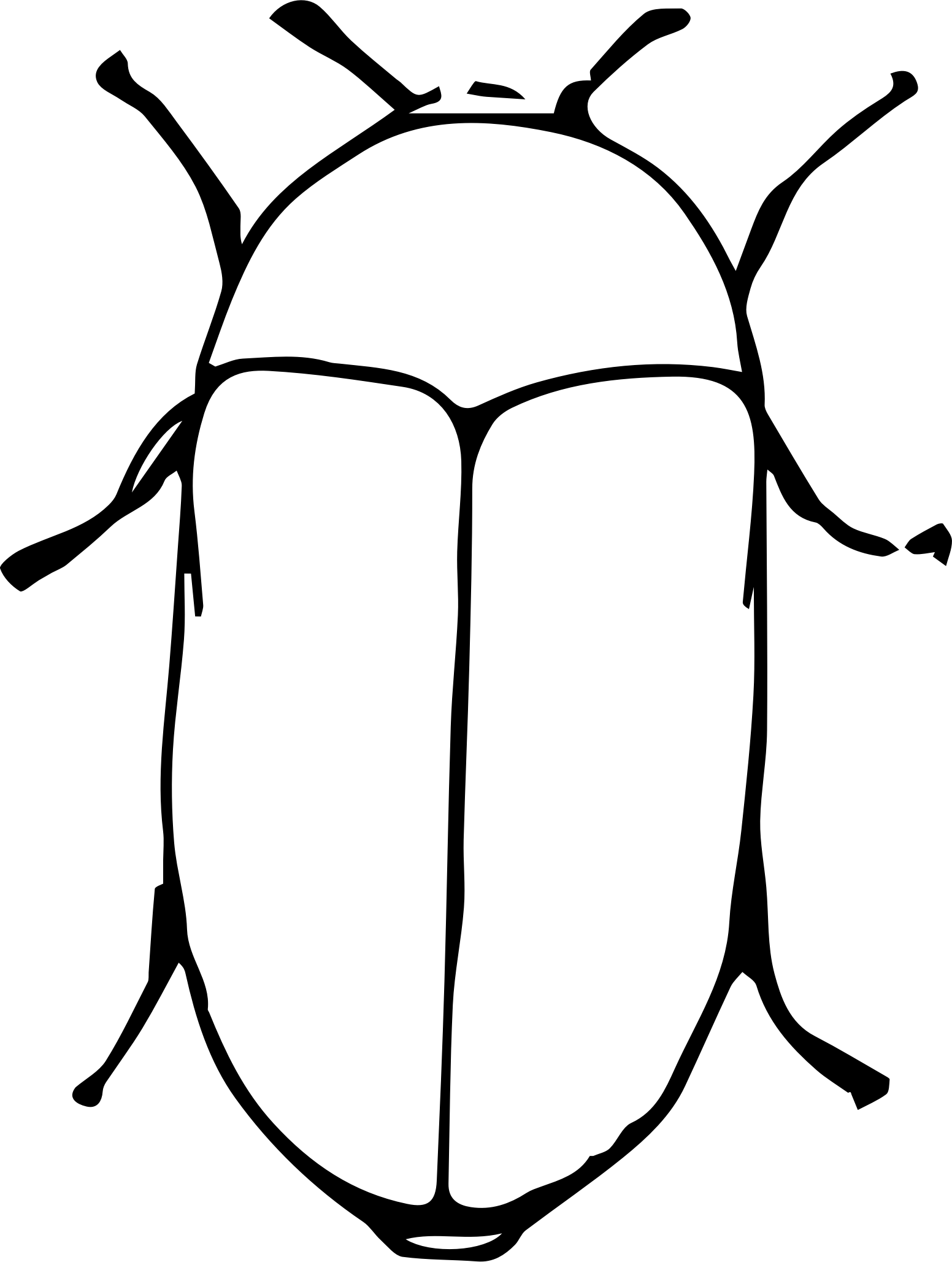Big Image - Beetle (1552x2057)