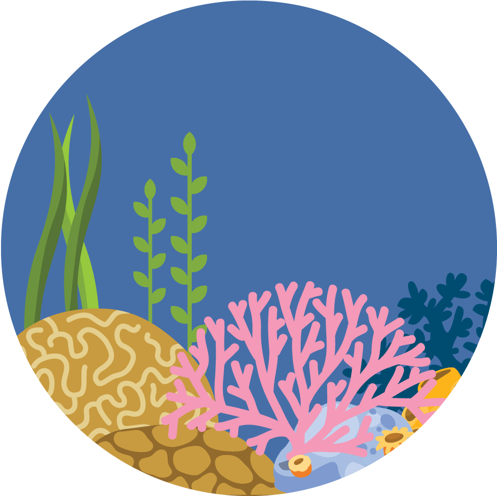 More Marine Protected Areas - Illustration (1024x1024)